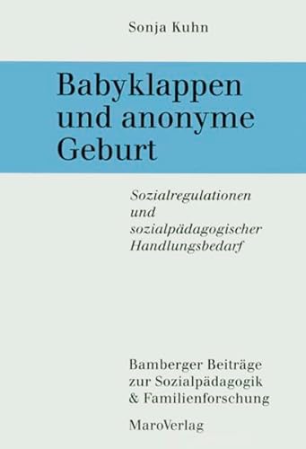 Babyklappen und anonyme Geburt: Sozialregulationen und sozialpädagogischer Handlungsbedarf (Bamberger Beiträge zur Sozialpädagogik & Familienforschung)