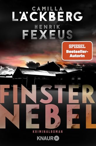 Finsternebel: Kriminalroman | Der Bestseller aus Schweden jetzt im Taschenbuch von Knaur TB