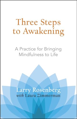 Three Steps to Awakening: A Practice for Bringing Mindfulness to Life von Shambhala