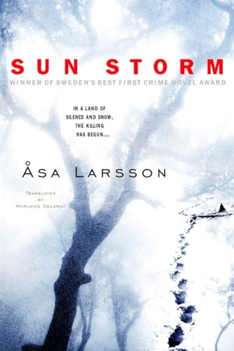 Sun Storm (Rebecka Martinsson, Band 1) von Delta