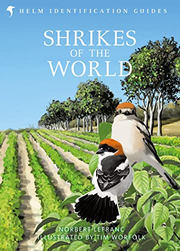 Shrikes of the World: THE BB/BTO BIRD BOOK OF THE YEAR (Helm Identification Guides)