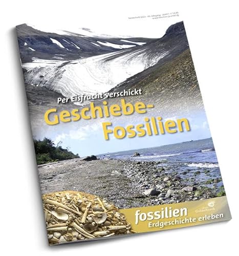 Geschiebe-Fossilien: Per Eisfracht verschickt
