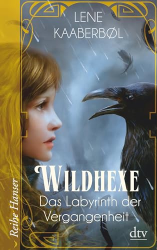 Wildhexe - Das Labyrinth der Vergangenheit (Die Wildhexe-Reihe, Band 5) von dtv Verlagsgesellschaft
