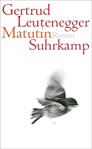 Matutin: Roman (suhrkamp taschenbuch)