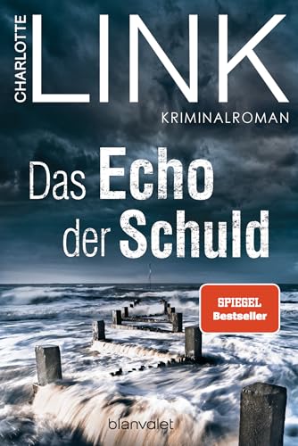 Das Echo der Schuld: Kriminalroman von Blanvalet Taschenbuch Verlag