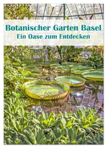 Botanischer Garten Basel - Eine Oase zum Entdecken (Wandkalender 2025 DIN A3 hoch), CALVENDO Monatskalender: Basels Botanischer Garten ist öffentlich und gratis von CALVENDO