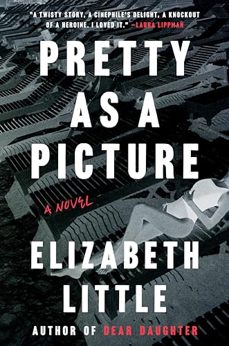 Pretty as a Picture: A Novel