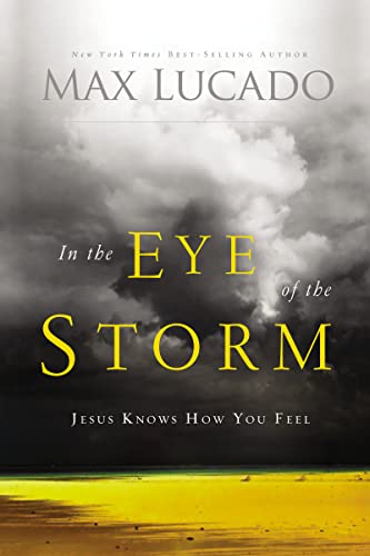 In the eye of the storm repackage: Jesus Knows How You Feel