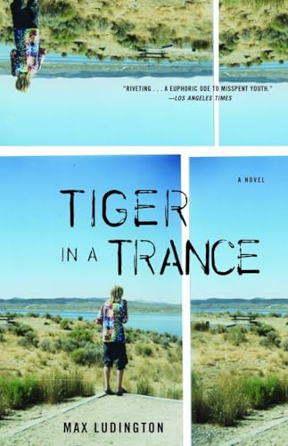 Tiger in a Trance: A Novel von Anchor Books