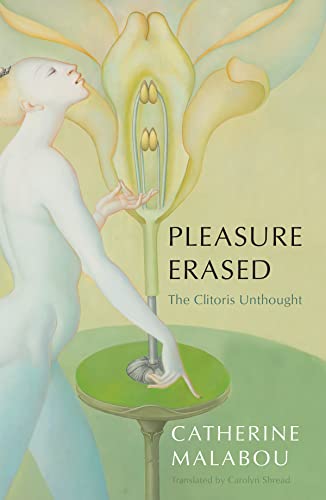 Pleasure Erased: The Clitoris Unthought von Polity