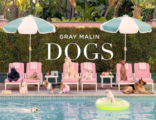 Gray Malin: Dogs: Photographs von Abrams Books