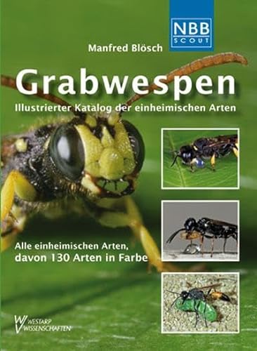 Grabwespen: Illustrierter Katalog der einheimischen Arten (NBB Scout) von Wolf, VerlagsKG