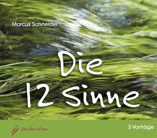 Die 12 Sinne: Vortrag von Marcus Schneider von Sentovision GmbH