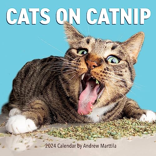 Cats on Catnip Wall Calendar 2024: A Year of Cats Living the High Life and Feeling Niiiiice von Workman Publishing