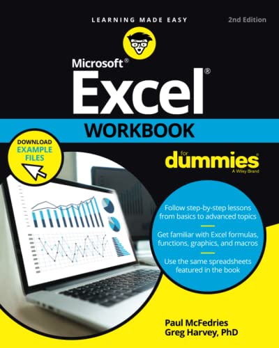 Excel Workbook for Dummies von For Dummies