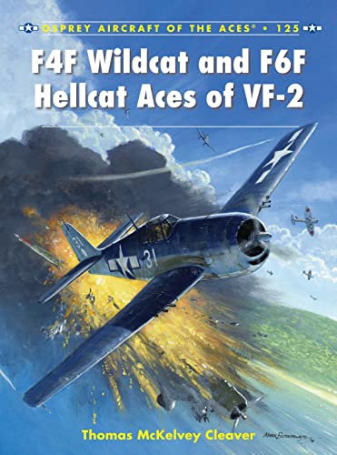 F4F Wildcat and F6F Hellcat Aces of VF-2 (Aircraft of the Aces, Band 25)