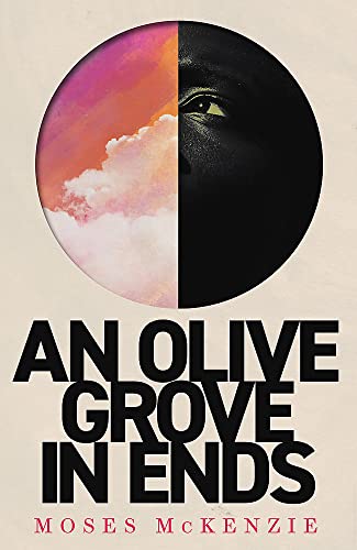 An Olive Grove in Ends: The dazzling debut novel about love, faith and community, by an electrifying new voice von Wildfire