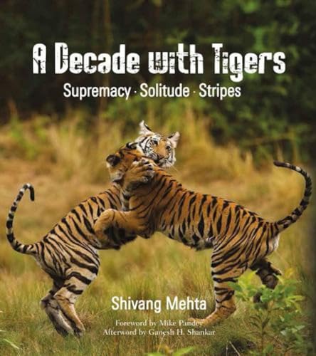 A Decade with Tigers: Supremacy. Solitude. Stripes von Niyogi Books