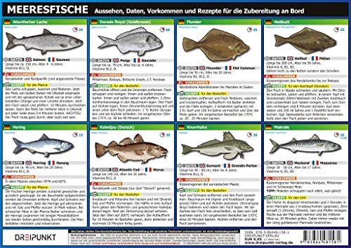 Info-Tafel-Set Meeresfische: Aussehen, Daten, Vorkommen und Rezepte für die Zubereitung an Bord. von Dreipunkt Verlag