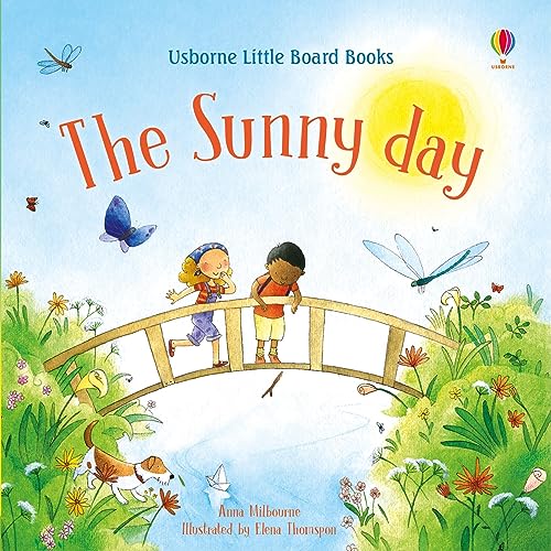 The Sunny Day (Little Board Books): 1