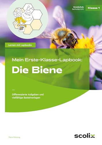 Mein Erste-Klasse-Lapbook: Die Biene: Differenzierte Aufgaben und vielfältige Bastelvorlagen (Lernen mit Lapbooks - Grundschule)