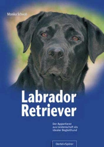 Labrador Retriever: Der Apportierer aus Leidenschaft als idealer Begleithund von Oertel Und Spoerer GmbH