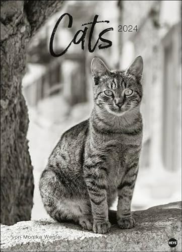 Monika Wegler: Cats Edition 2024. Elegante Samtpfoten in schwarz-weiß in einem XXL-Kalender. Tierkalender 2024 im Großformat. Hochwertiger großer Fotokalender für Katzenfans. von Heye
