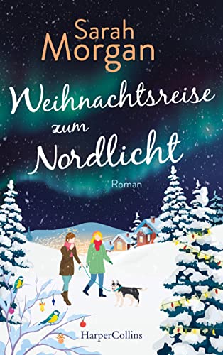 Weihnachtsreise zum Nordlicht: Roman