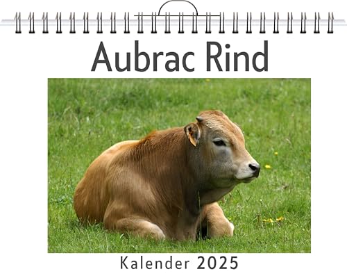 Aubrac Rind - (Wandkalender 2025, Kalender DIN A4 quer, Monatskalender im Querformat mit Kalendarium, das perfekte Geschenk) von FlipFlop