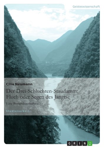 Der Drei-Schluchten-Staudamm: Fluch oder Segen des Jangtse: Eine Bestandsaufnahme