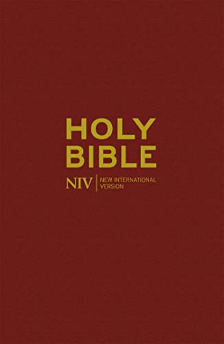 NIV Popular Burgundy Hardback Bible (New International Version)