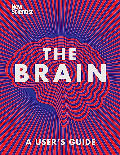 The Brain: Everything You Need to Know von JOHN MURRAY