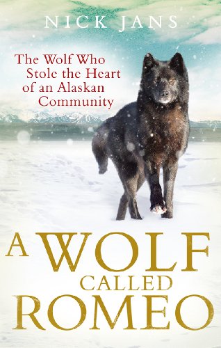 A Wolf Called Romeo von Virgin Books