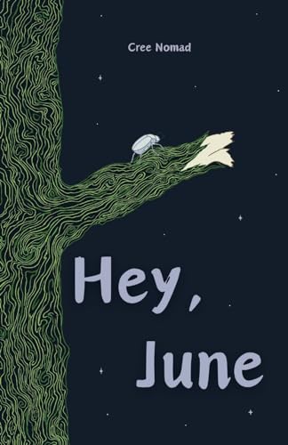 Hey, June von Independently Published
