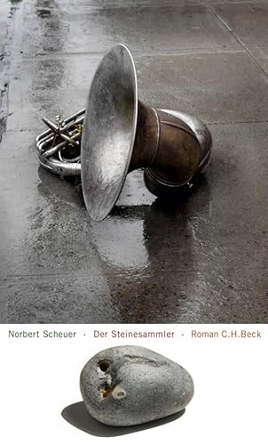 Der Steinesammler: Roman von Beck C. H.