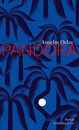 Pandora: Roman von Schöffling