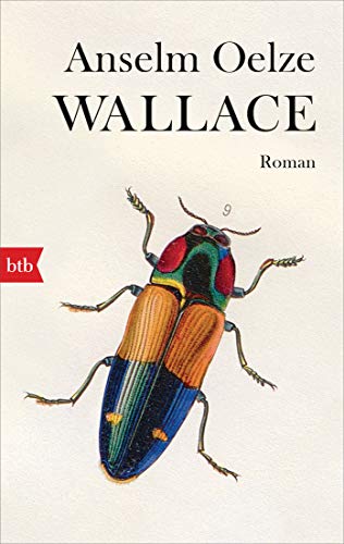 Wallace: Roman von btb