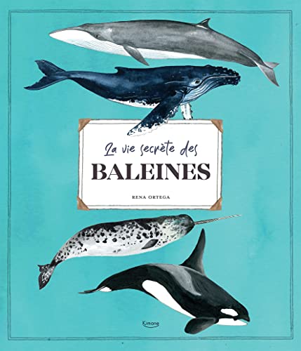 LA VIE SECRÈTE DES BALEINES von KIMANE