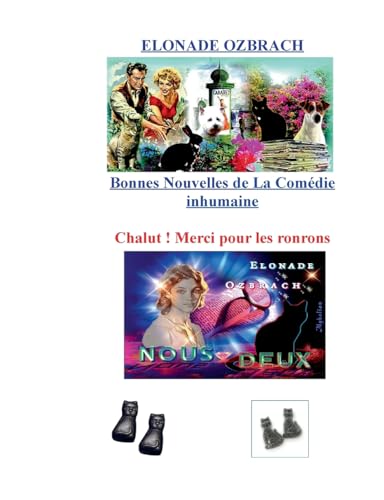 Bonnes nouvelles de la comédie inhumaine: Chalut ! von Books on Demand