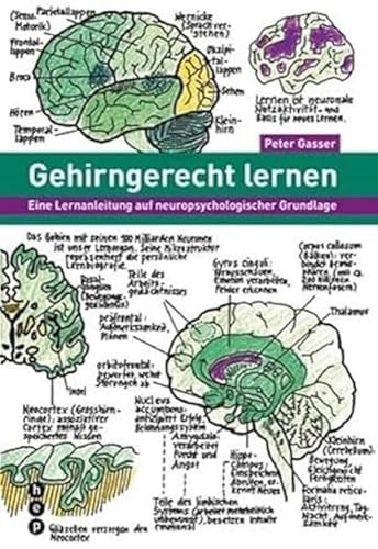 Gehirngerecht lernen: Eine Lernanleitung auf neuropsychologischer Grundlage von hep Verlag