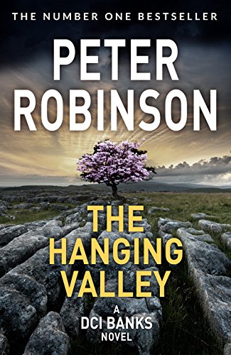 The Hanging Valley: A compulsive police suspense featuring Inspector Banks (The Inspector Banks series, 4) von Pan