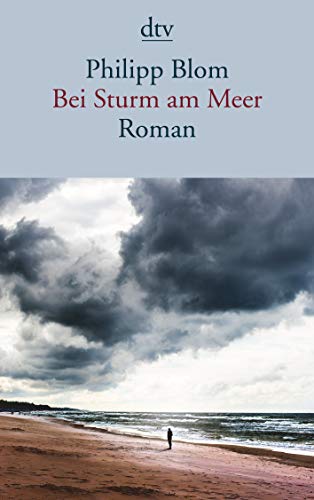 Bei Sturm am Meer: Roman (DTV, 14638, Band 14638) von dtv Verlagsgesellschaft