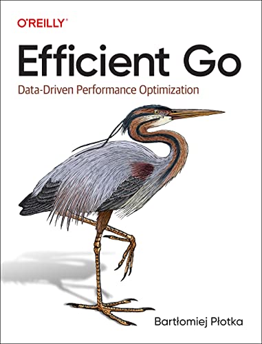 Efficient Go: Data-Driven Performance Optimization von O'Reilly Media