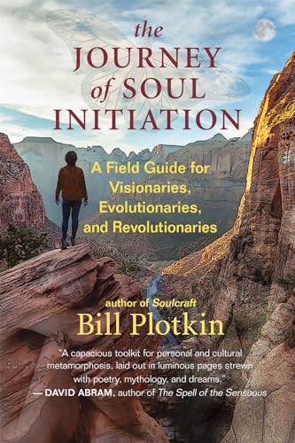 Journey of Soul Initiation: A Field Guide for Visionaries, Evolutionaries, and Revolutionaries