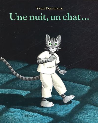 Une nuit, un chat...