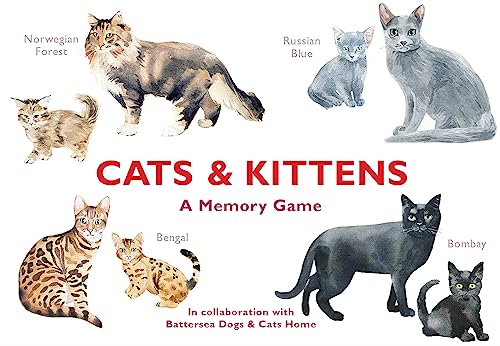 Cats & Kittens. A Memory Game