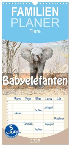 Familienplaner 2025 - Babyelefanten mit 5 Spalten (Wandkalender, 21 cm x 45 cm), CALVENDO