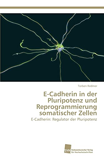 E-Cadherin in der Pluripotenz und Reprogrammierung somatischer Zellen: E-Cadherin: Regulator der Pluripotenz von Sudwestdeutscher Verlag Fur Hochschulschriften AG