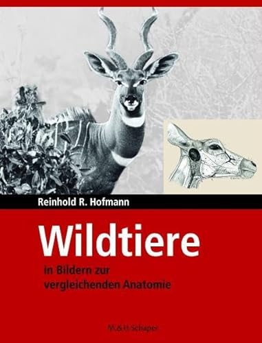 Wildtiere in Bildern zur vergleichenden Anatomie: Schaper Verlag im Vertrieb Schlütersche