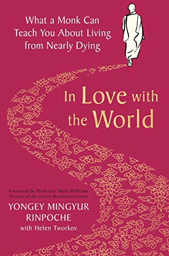 In Love with the World: What a Monk Can Teach You About Living from Nearly Dying von Bluebird